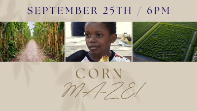 Corn Maze!