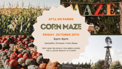 Corn Maze